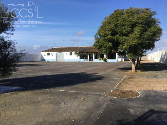 Chalet en venta en Almonte, Carretera de Cabezudos