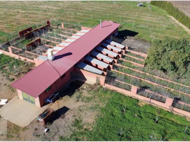 Chalet en venta en Almonte, Rincón i