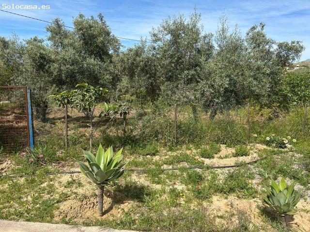 Chalet en Venta en Almogía, Málaga