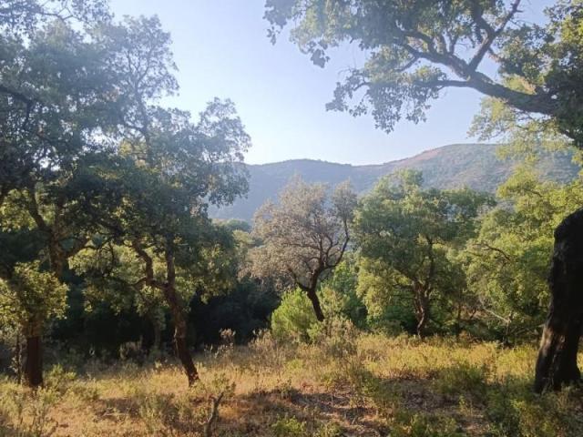 Chalet en venta en Aracena, Linares De La Sierra