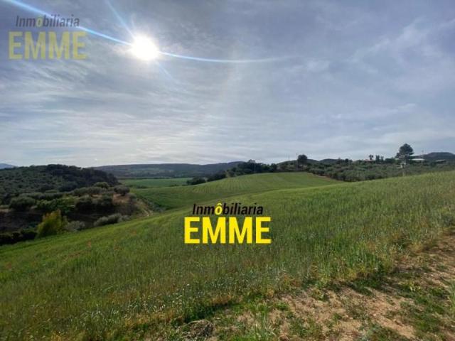 Chalet en venta en Arriate