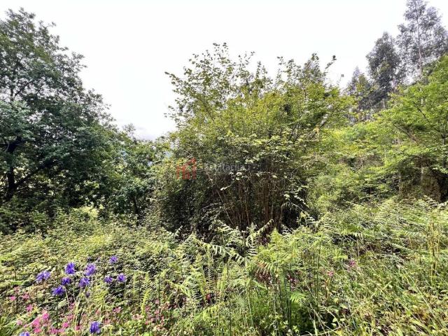 Chalet en venta en Bocigas. INMOBILIARIA INVERCASS VENDE EN EXCLUSIVA vivienda unifamiliar en entorno rural con 6700m2 de terreno en Guriezo. Chalets.