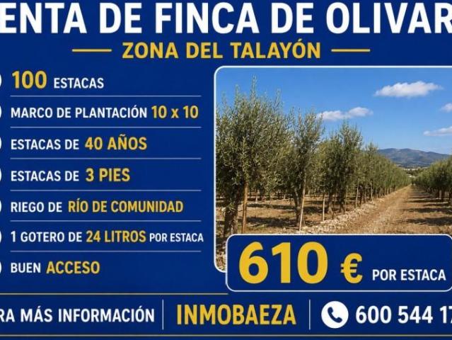 Chalet en venta en Baeza, Baeza