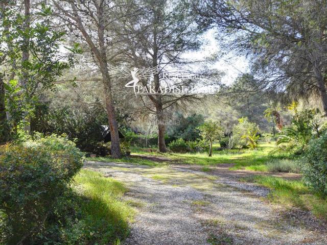 Chalet en venta en Baleares Sant Joan de Labritja. Encantadora propiedad situada en plena naturaleza en el norte de Ibiza. Chalets Sant Joan de.