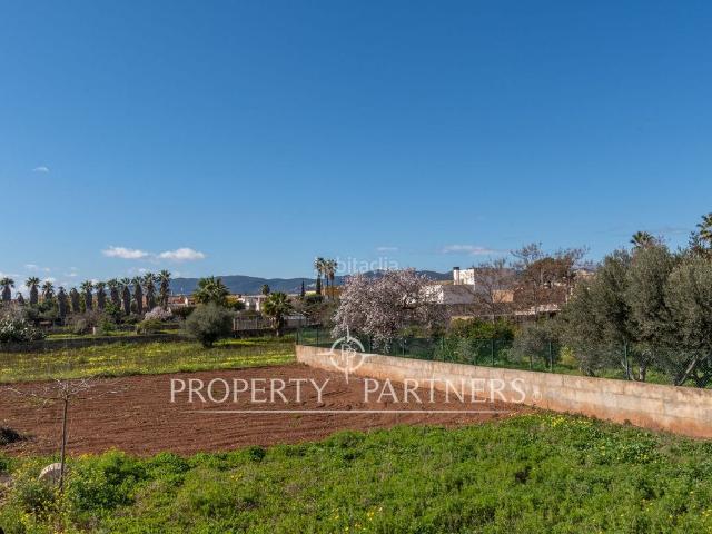 Chalet en venta en Baleares Palma de Mallorca, Sa Indioteria Rural. Una Joya en la Auténtica Palma. Chalets Palma de.