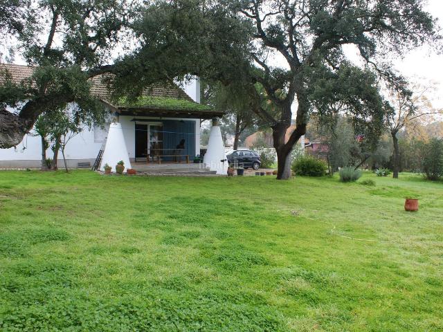 Chalet en venta en Beas. Chalets.