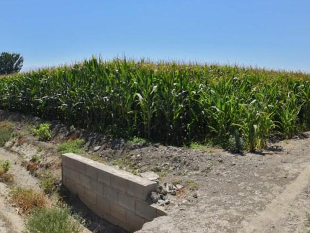 Terreno en venta en Belicena, POLIDEPORTIVO
