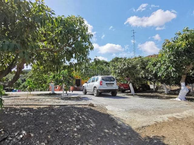 Chalet en venta en Benamocarra. Chalets.