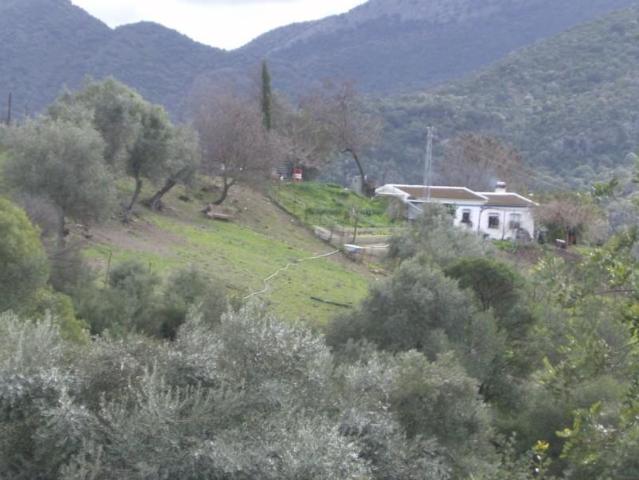 Chalet en venta en Benaocaz, Benaocaz