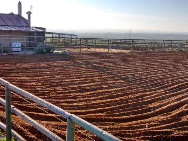 Terreno en venta en Burguillos, Burguillos