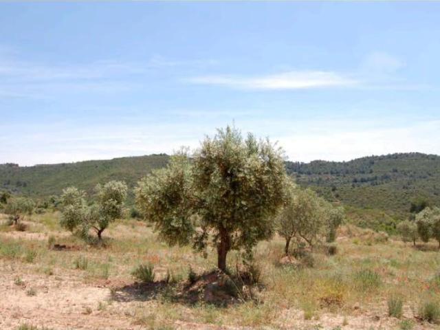 Chalet en venta en Granadella, Granadella La
