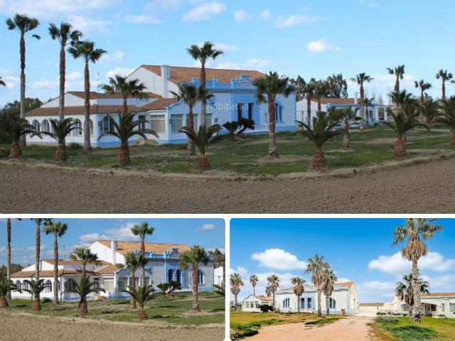 Chalet en venta en Deltebre Costa Dorada. CASA RÚSTICA SINGULAR EN VENTA EN DELTEBRE. Chalets.