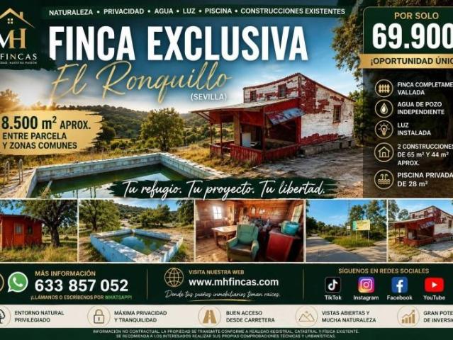 Chalet en venta en El Ronquillo, Andalucia