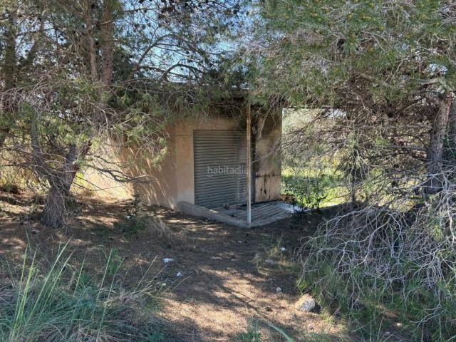Chalet en venta en Elche Elx, El Altet. Se vende parcela de 3.000 metros cuadrados con una casaalmacén de 26 metros cuadrados junto a la Ronda Sur de El Altet!. Chalets Elche.