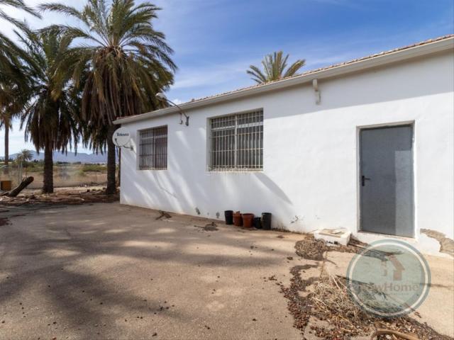 Chalet en venta en Elche Elx, La Algoda Matola Llano de San José. CHALET Y NAVE. Chalets Elche.