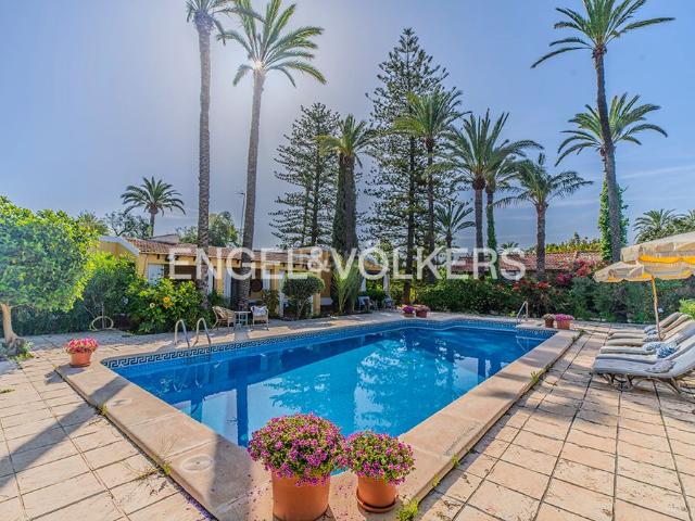 Chalet en venta en Elche Elx, La Portalada. Finca Única de 1885 Rodeada de Palmeras. Chalets Elche.