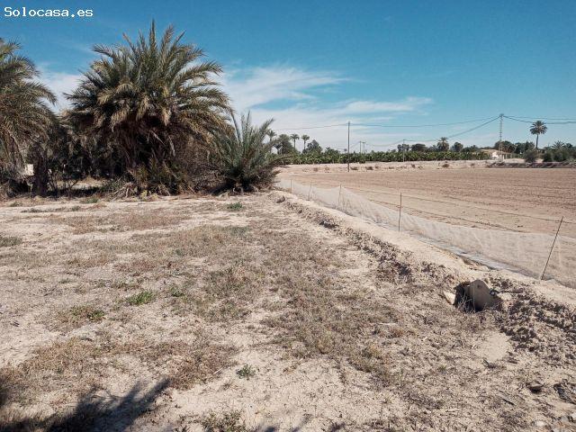 Chalet en Venta en Elche pedanias, Alicante