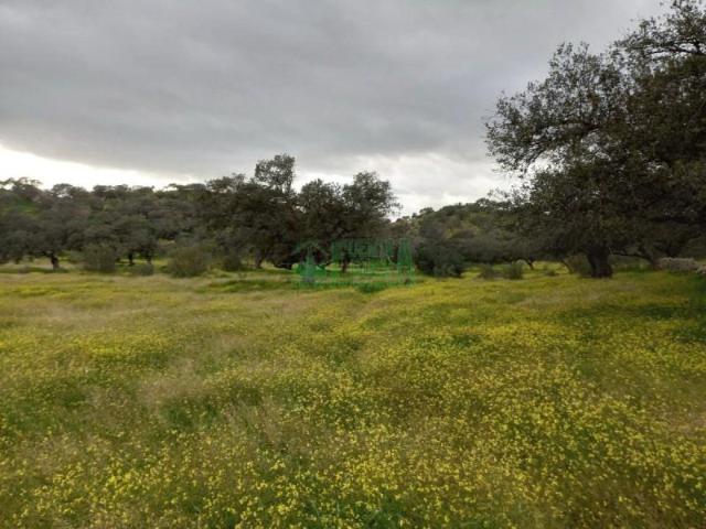 Chalet en venta en Fregenal de la Sierra, Fregenal De La Sierra