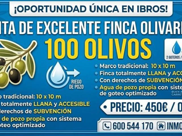 Chalet en venta en Ibros, Ibros