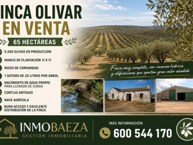 Chalet en venta en Jaén, Afueras de Jaen
