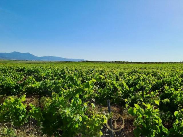 Chalet en venta en Jumilla