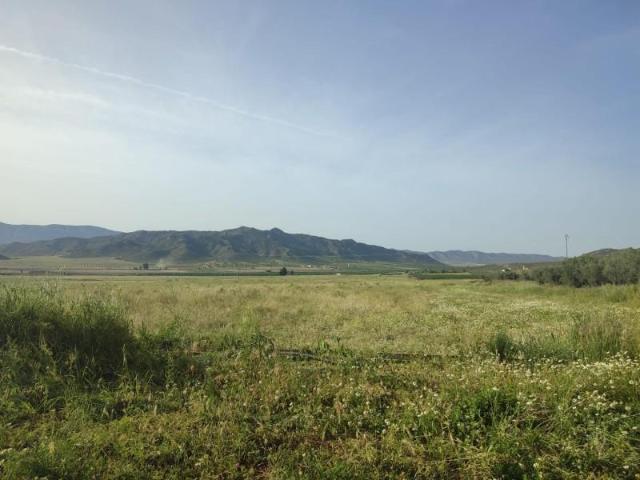 Chalet en venta en Jumilla, Jumilla