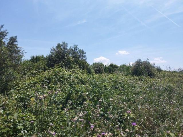 Chalet en venta en Juneda, Juneda