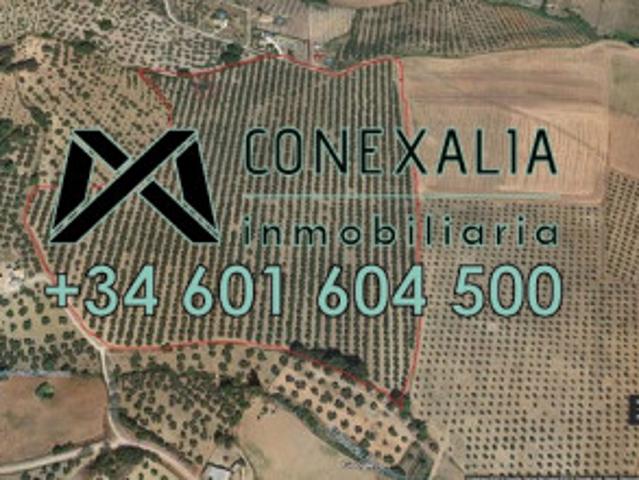 Chalet en venta en Olvera, Olvera