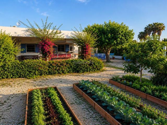 Chalet en venta en Oliva, Oliva Playa. Chalets.