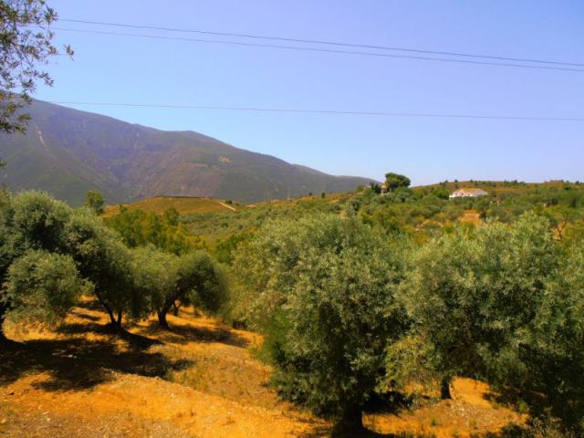 Chalet en venta en Órgiva, Poligonos