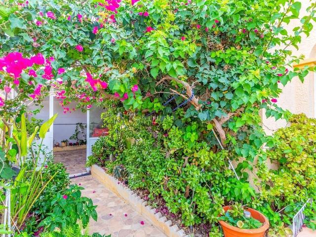 Chalet en venta en Orihuela, La Florida. Amplio Chalet en Esquina. Chalets.