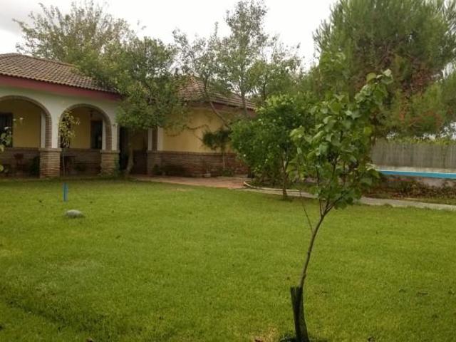 Chalet en venta en Los Palacios y Villafranca, Los palacios y villafranca