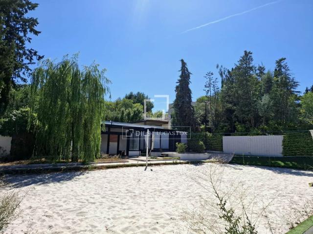 Chalet en venta en La Moraleja, Urbanización La Moraleja. Casa o vivienda independiente en venta sobre parcela de 1.600m2 en La Moraleja Urbanización, Madrid. Chalets La.