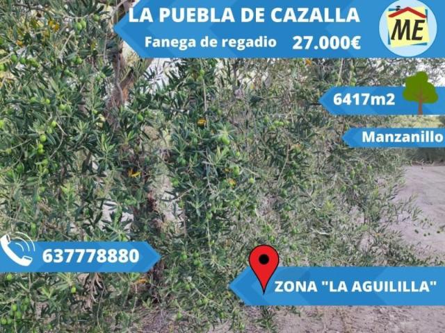 Chalet en venta en La Puebla de Cazalla, La Puebla De Cazalla