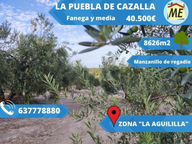 Chalet en venta en La Puebla de Cazalla, La Puebla De Cazalla