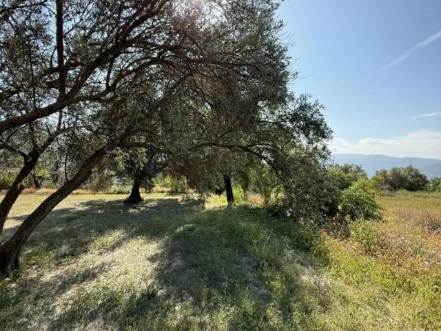 Terreno en venta en Lecrín, Chite