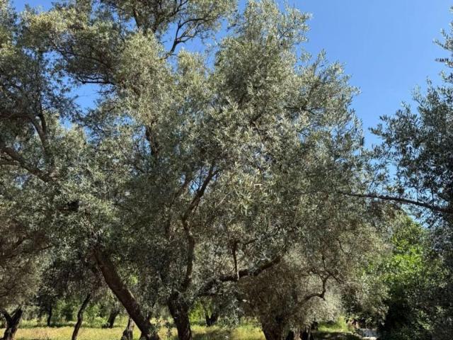 Terreno en venta en Lecrín, Chite