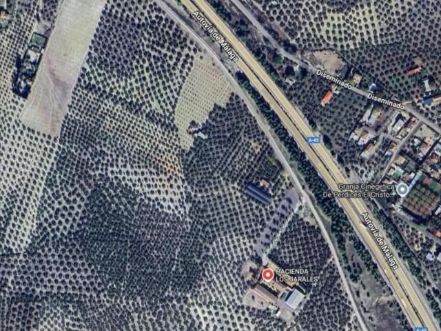 Chalet en venta en Lucena, Lucena