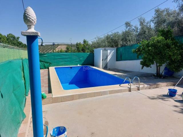 Chalet en venta en Lucena, Las Vegas Campoaras. CASA DE CAMPO EN LAS VEGAS, CON OLIVAR Y HUERTO. Chalets.