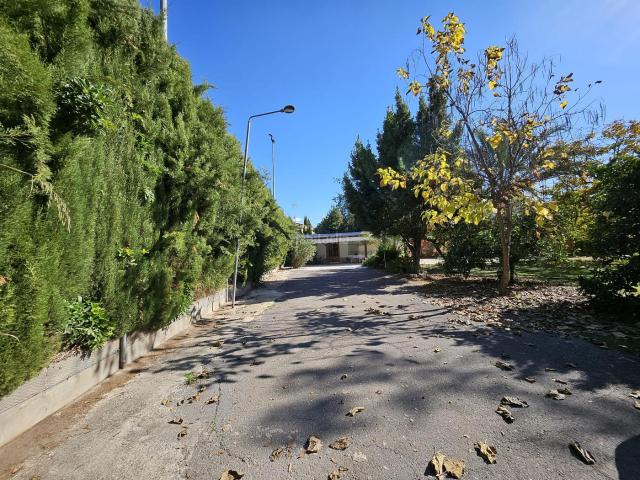 Chalet en venta en Lucena, Las Vegas Campoaras. OPORTUNIDAD INMOBILIARIA. Chalets.