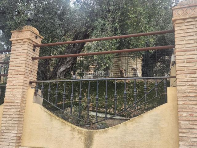Chalet en venta en Molina de Segura, La Alcayna. Chalets Molina de.