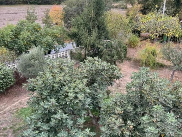 Chalet en venta en Monforte de Lemos. OPORTUNIDAD AMPLIO CHALET. Chalets Monforte de.