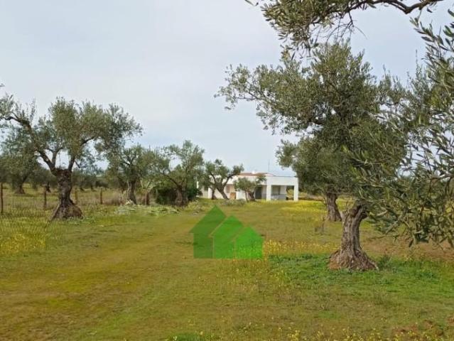 Chalet en venta en Montijo