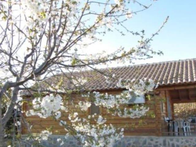 Chalet en venta en Moratalla, Murcia