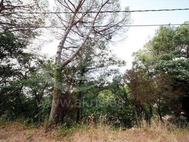Chalet en venta en Maçanet de la Selva