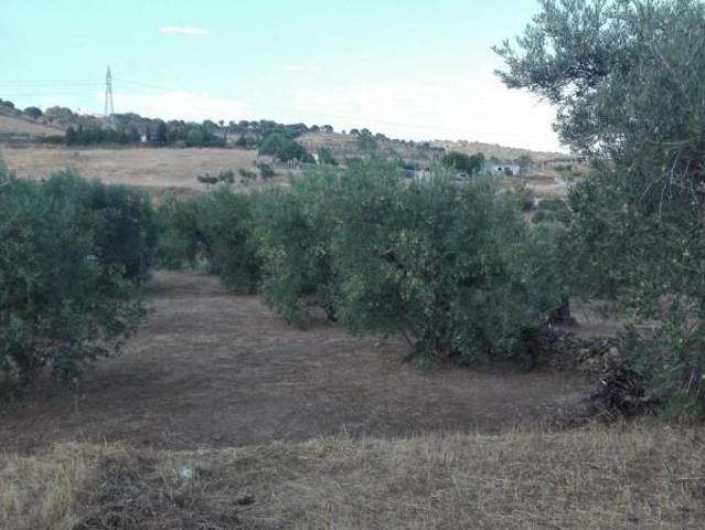 Chalet en venta en Malpartida de Plasencia, Las viñas