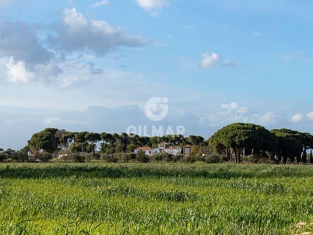 Chalet en venta en Marchena, Sevilla