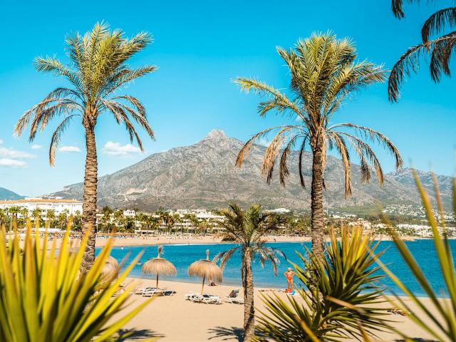 Chalet en venta en Marbella, San Pedro de Alcántara Pueblo. ¡Su Próxima Gran Inversión en Lujo y Diseño le Espera!. Chalets.