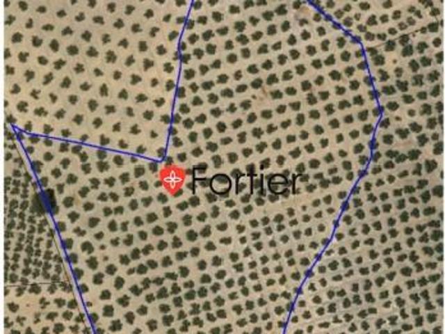 Chalet en venta en Martos, Martos