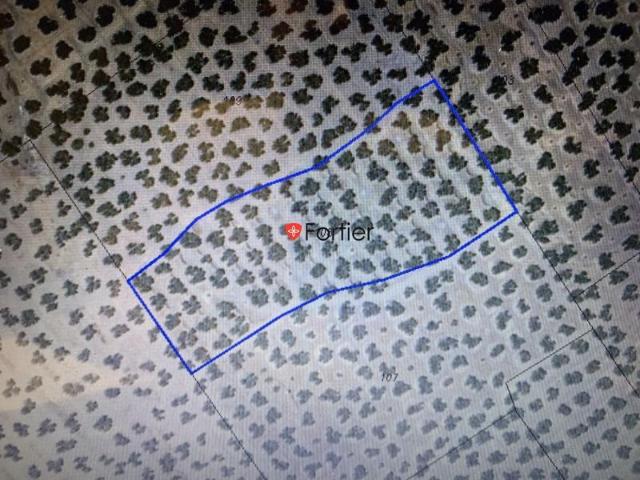 Chalet en venta en Martos, Monte Lope Alvarez
